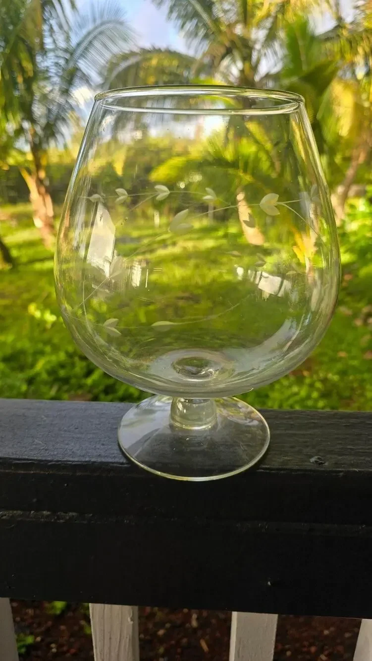 Vintage Princess House Large Snifter Glass Etched Leaf Vine Pattern Decorative